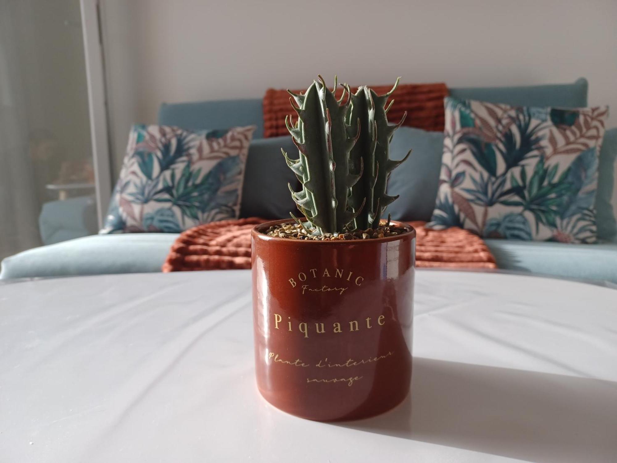 Appartement Mare E Monte Ortale à Biguglia  Extérieur photo